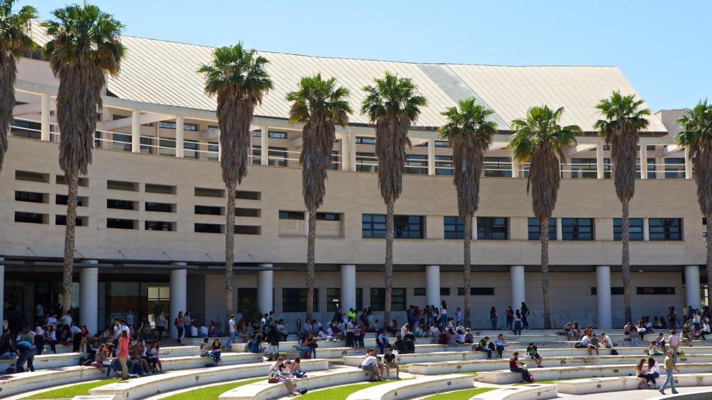 Universidad de Alicante (UA)