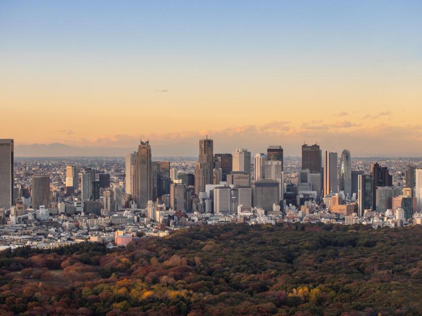 Imagen de los rascacielos del barrio de Shibuya.