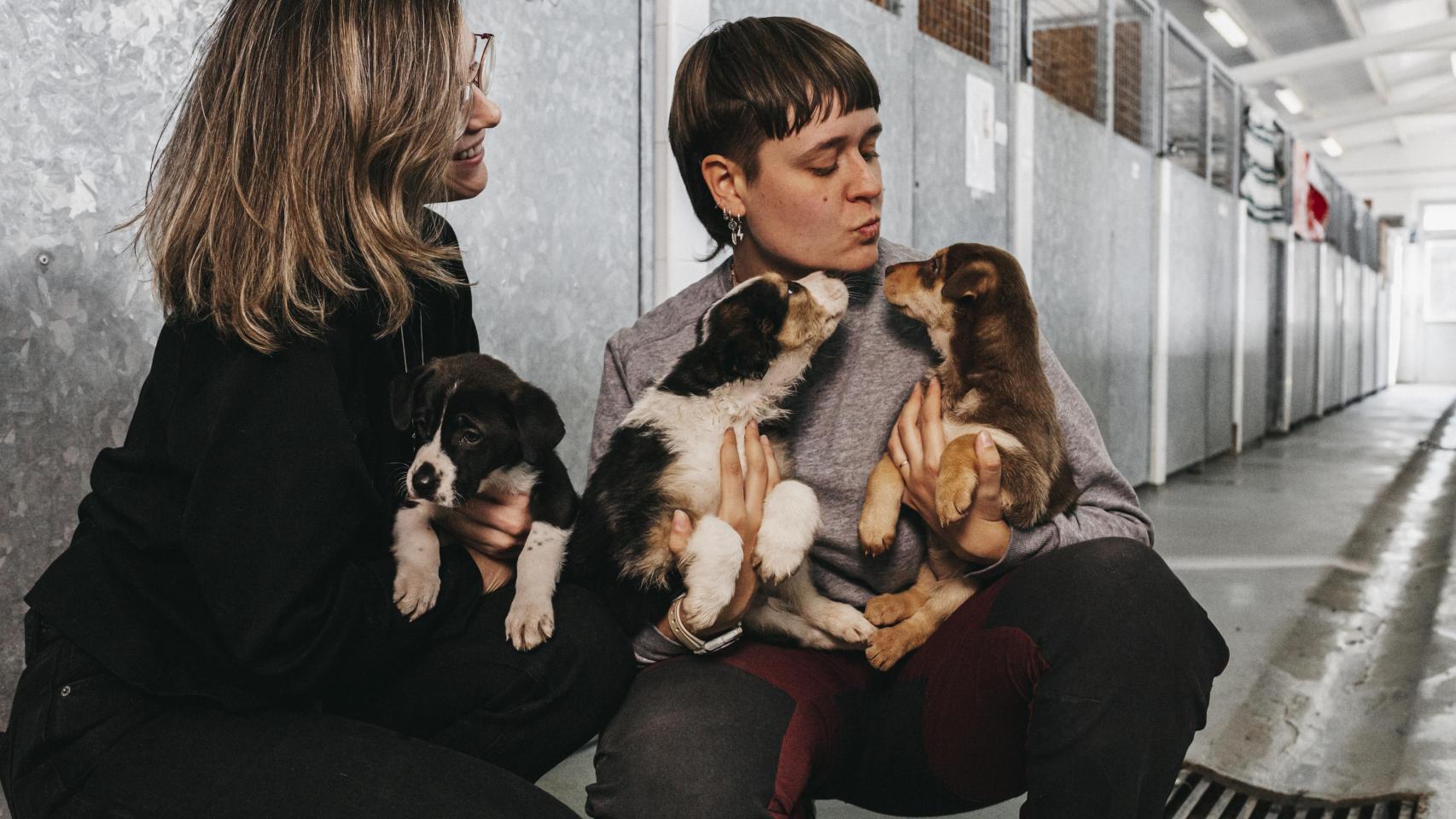 Dos voluntarias con los perros de la protectora Salvando Peludos. 