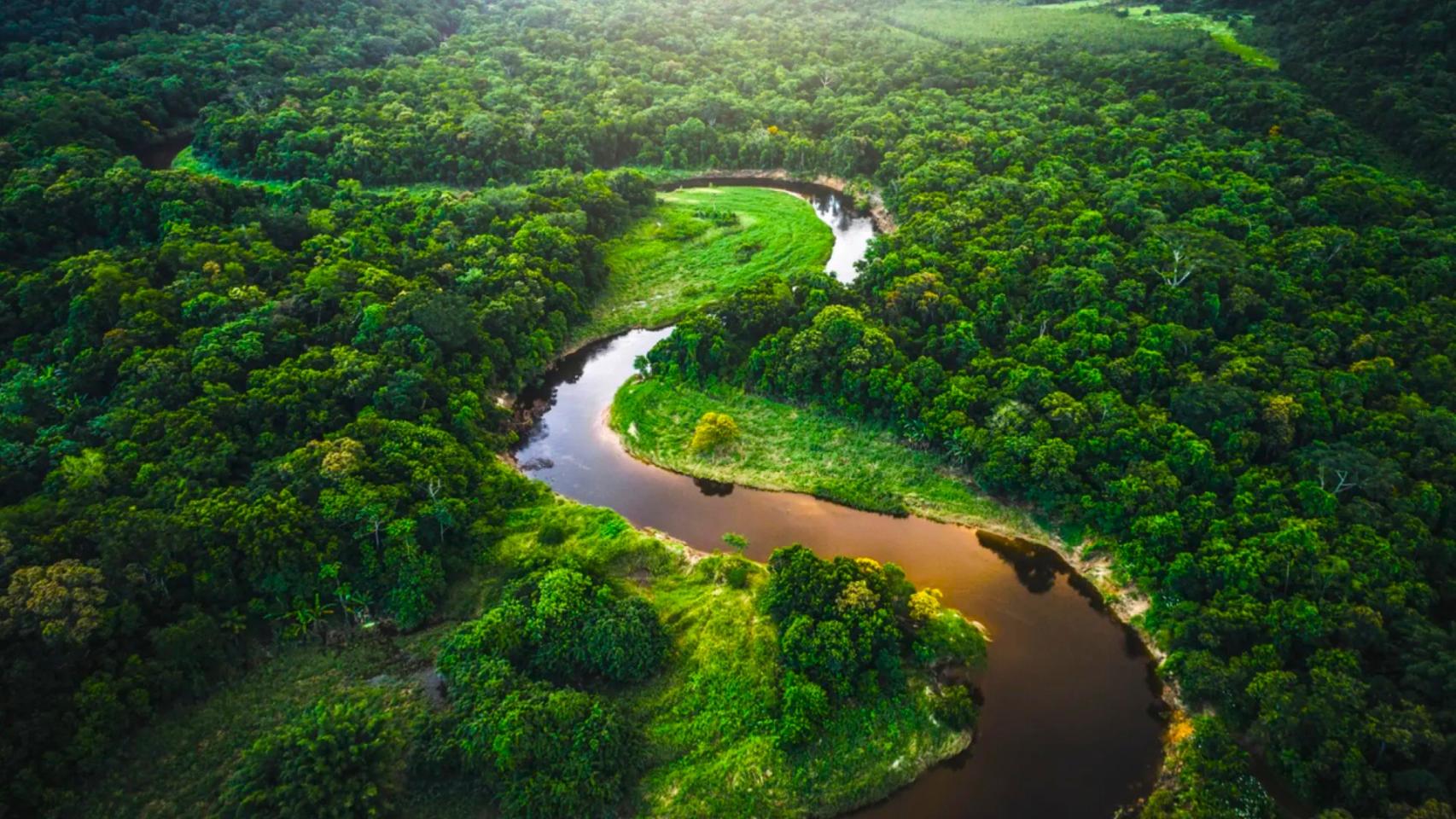 Endurecen el control en la Amazonia. 