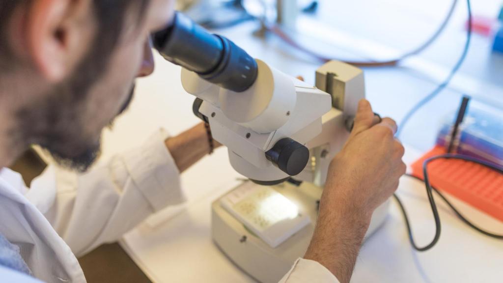 Un alumno de máster de la UMH realizando una investigación.