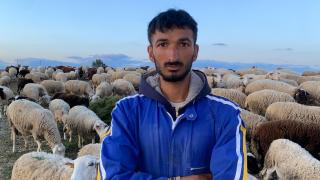 Usman junto a sus ovejas. 