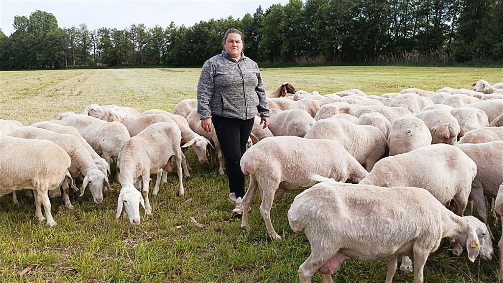Noelia Puebla Merino junto a sus ovejas en la explotación de La Serna.