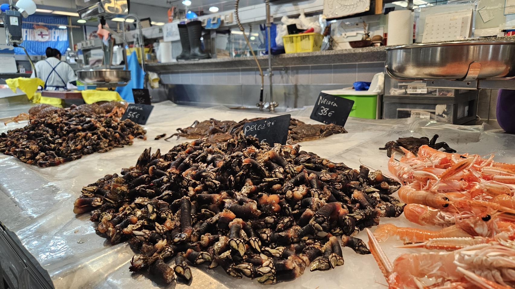 La plaza de Lugo sin mejillones este miércoles.