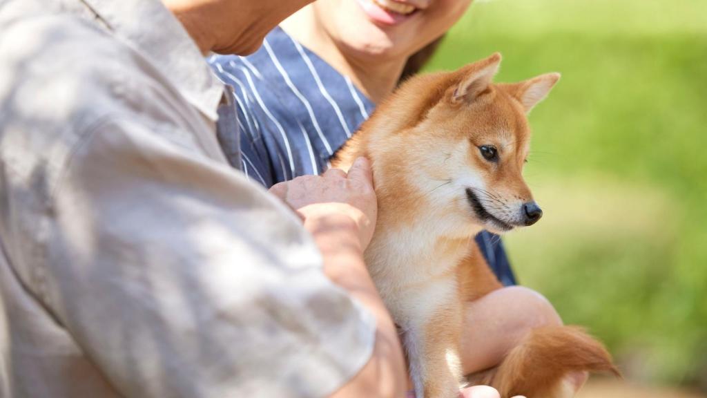 Una pareja sosteniendo un cachorro de Shiba inu.