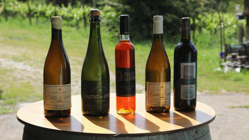 Algunas de las referencias que elabora la bodega
