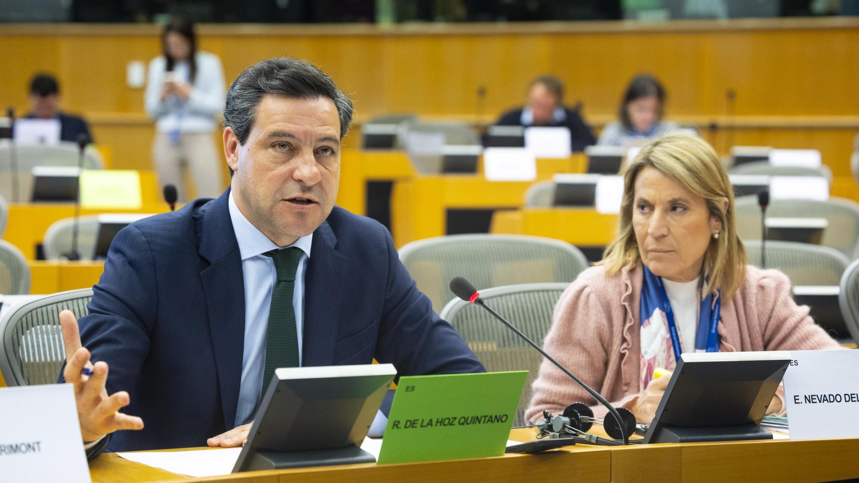 El eurodiputado del PP, Raúl de la Hoz, durante una intervención en el Parlamento Europeo