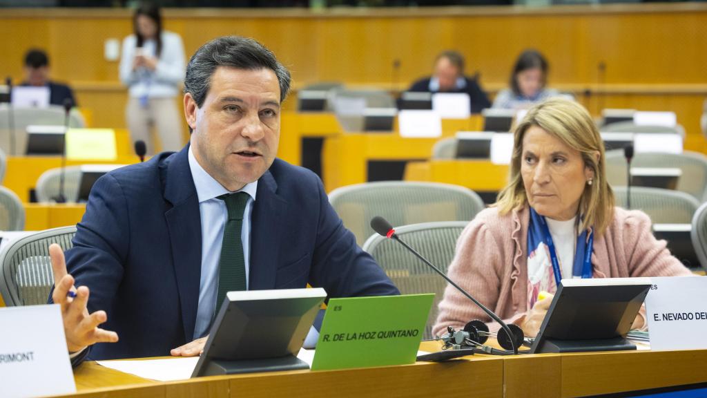 El eurodiputado del PP, Raúl de la Hoz, durante una intervención en el Parlamento Europeo