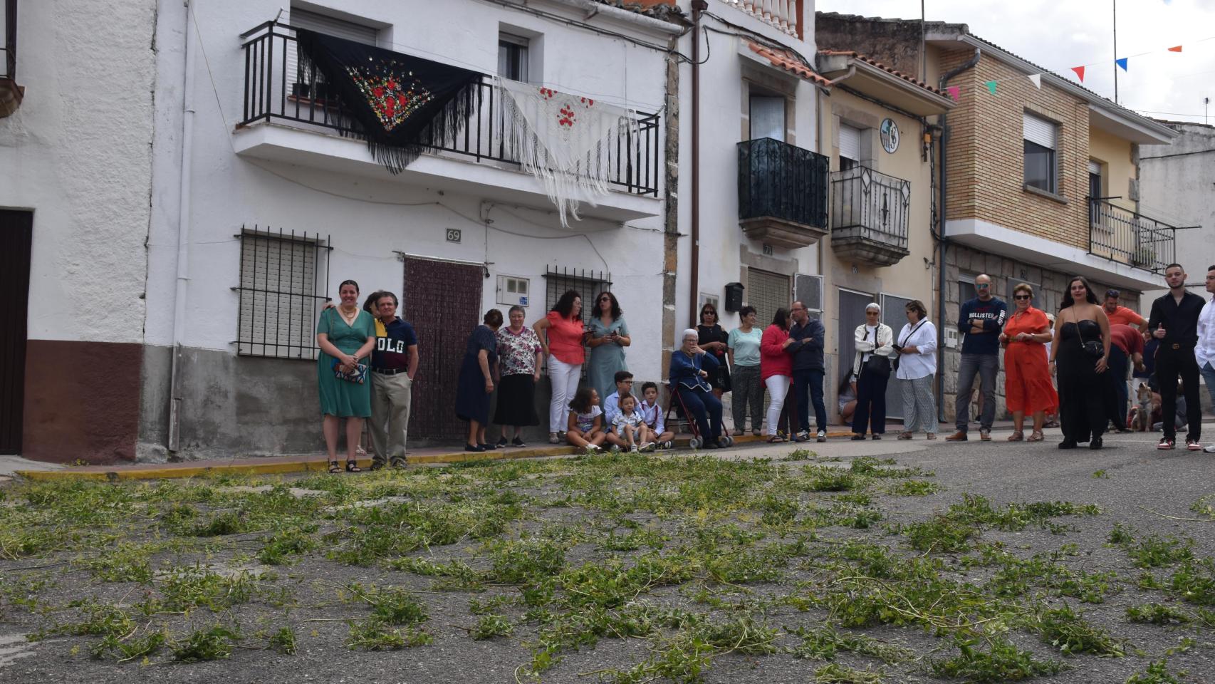 El tomillo en la calle durante la procesión de San Roque en Villarino de los Aires en 2022.