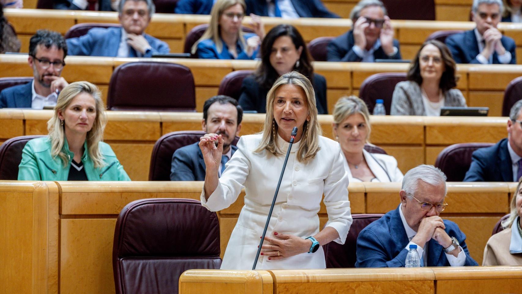 La portavoz del PP en el Senado, Alicia García.
