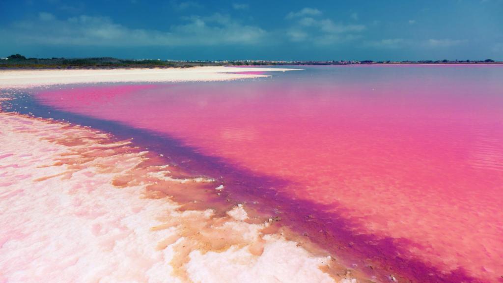 La Laguna Rosa de Torrevieja.