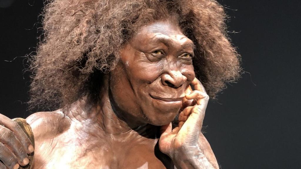 Homo Erectus.