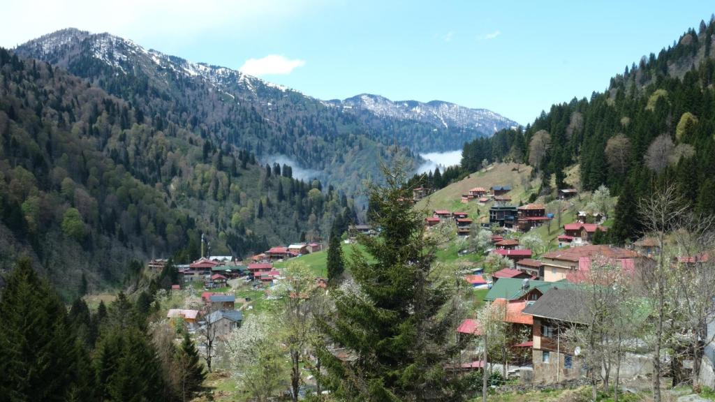 Ayder Plateau.