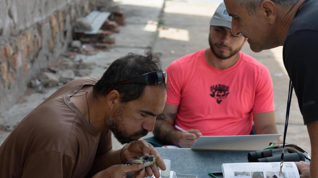 Técnicos de la Autoridad Portuaria de Cartagena y ECOMED durante la III Campaña de Anillamiento Prenupcial en la Isla de Escombreras