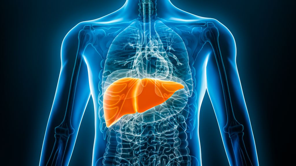 La hepatitis C es una infección vírica que causa la hinchazón del hígado, denominada inflamación.