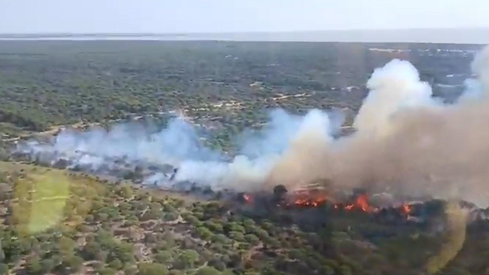 Imagen del incendio en Almonte. 