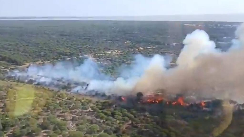 Imagen del incendio en Almonte. 