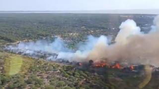 Imagen del incendio en Almonte. 