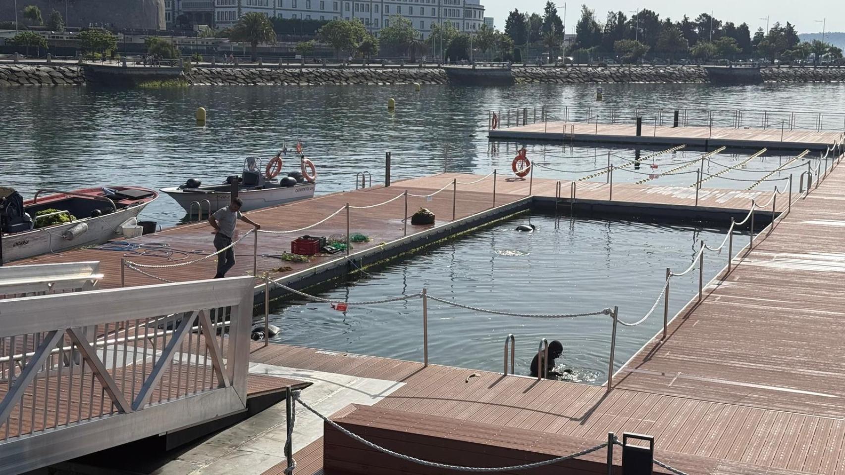 Tres buzos trabajan en la retirada de algas acumuladas en la plataforma flotante del Parrote
