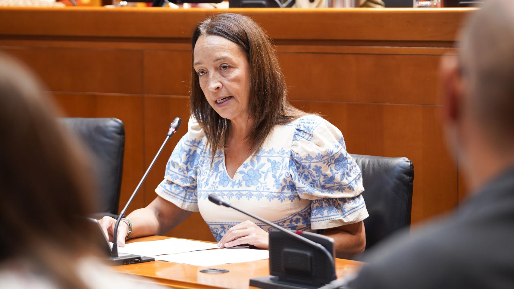 La consejera de Educación, Ciencias y Universidades, Carmen Susín, durante la Comisión 