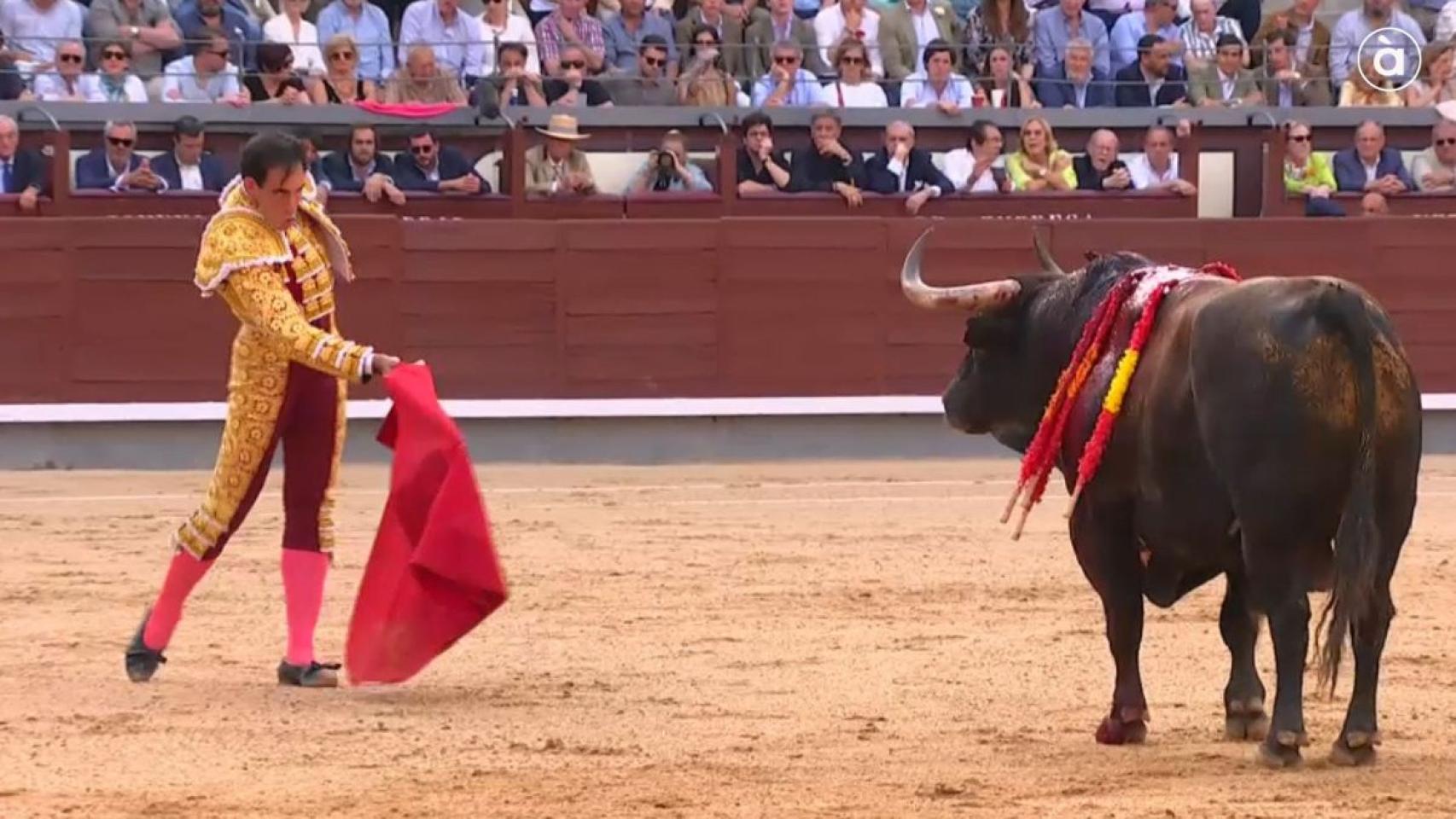 Forte, en Las Ventas. À Punt