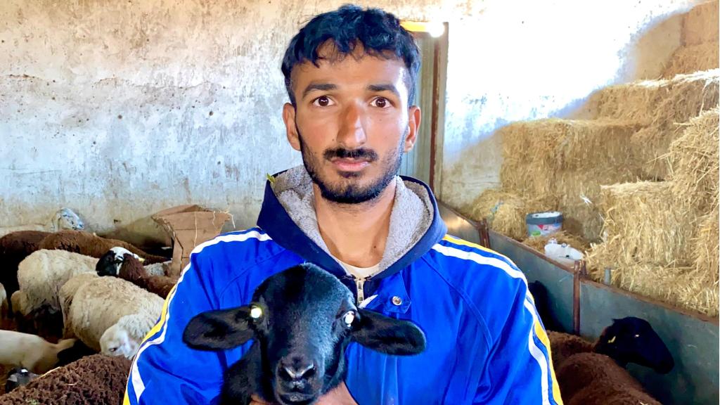 Usman junto a uno de sus corderos.