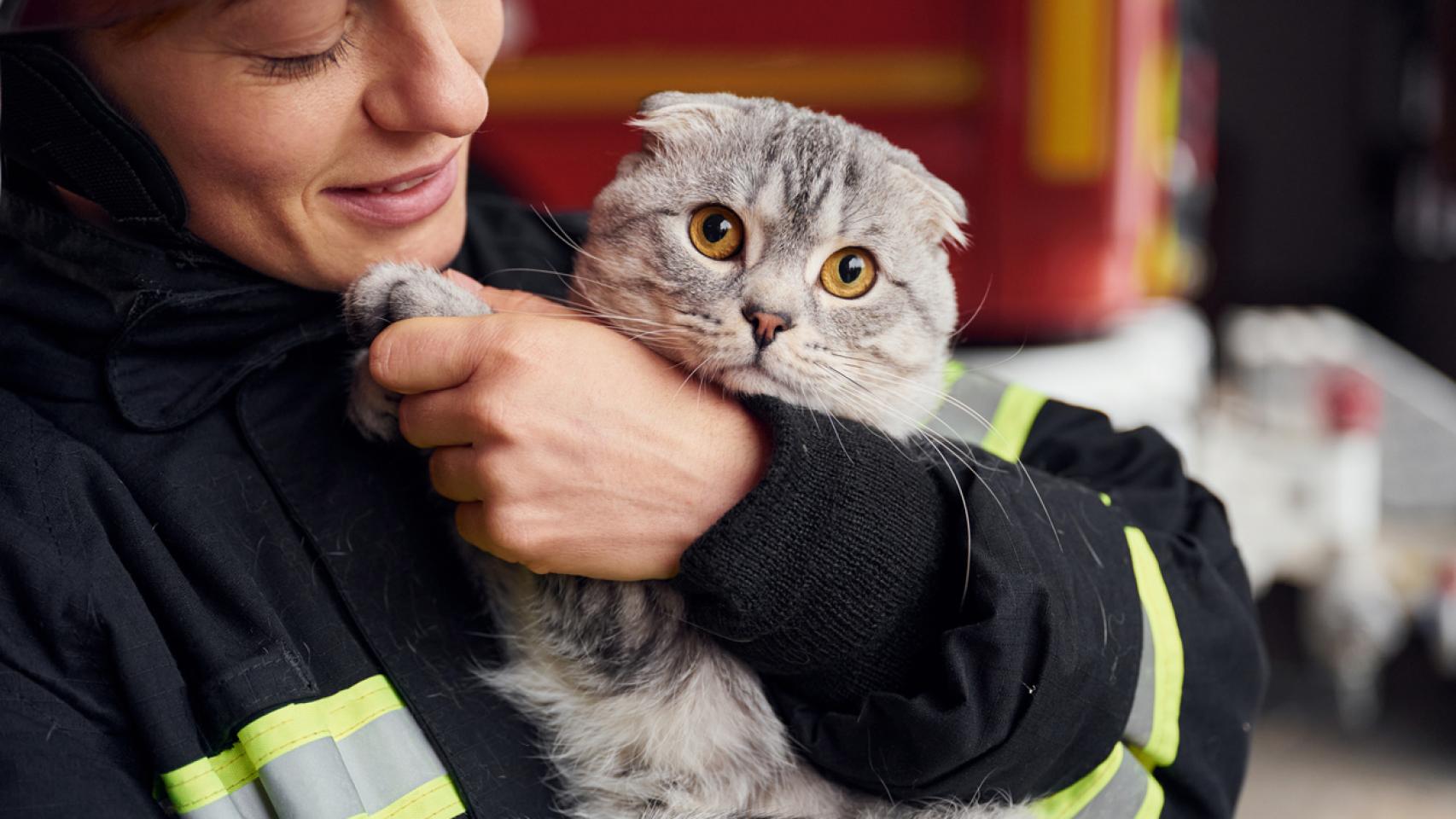 Una bombero con un gato. 