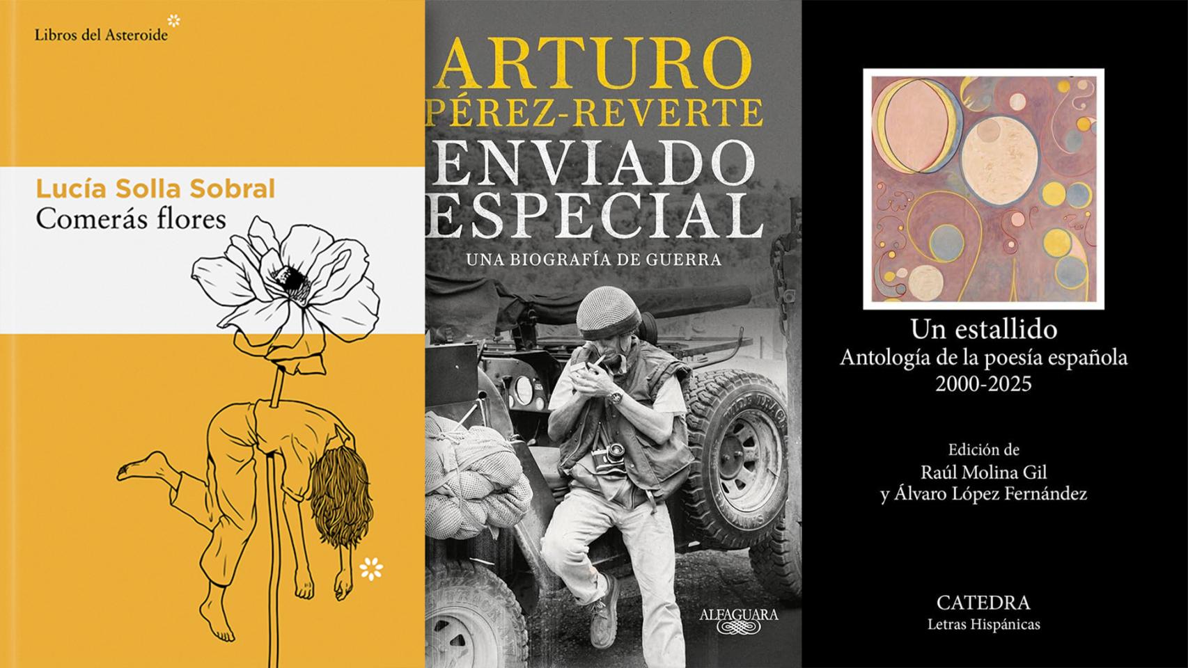 Los libros más vendidos en Ficción, No Ficción y Poesía.