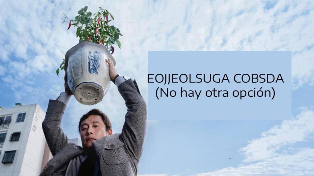 Programa 'Proyecciones de lo ajeno'
