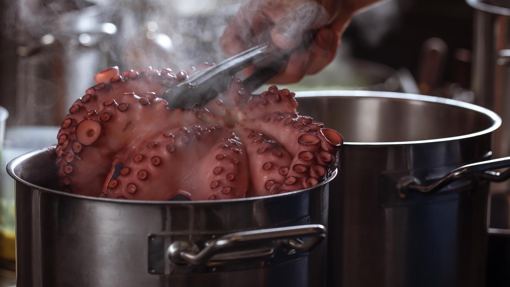 Pulpo en una olla