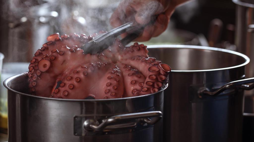 Pulpo en una olla