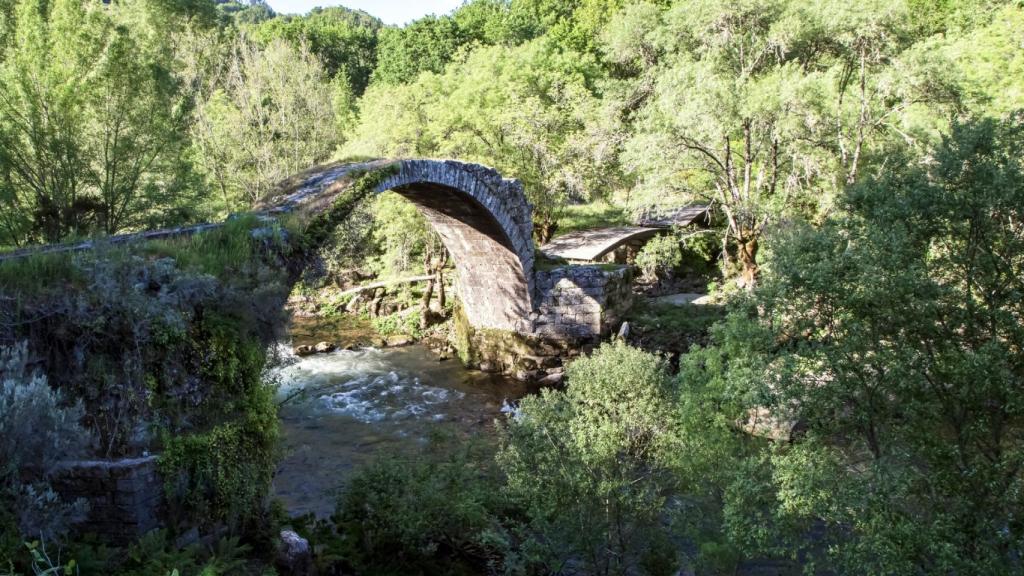 Puente medieval en Pazos de Arenteiro
