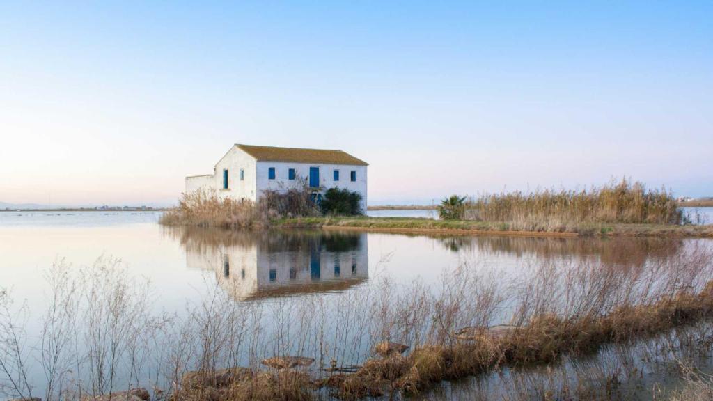 Parque natural de la albufera.