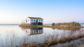 Parque natural de la albufera.