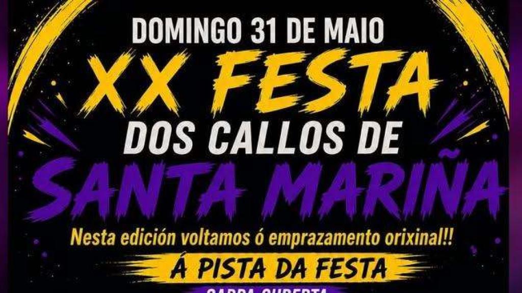 Cartel de la 20.ª edición de la Festa dos Callos