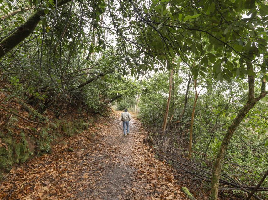 Parque Natural del Señorío de Bertiz.