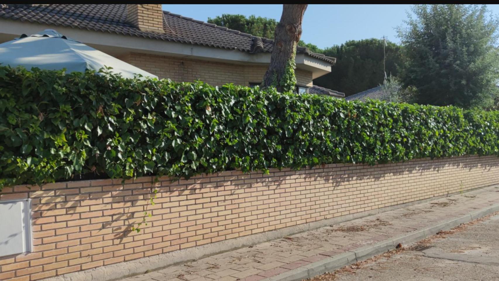 Imagen de la vivienda