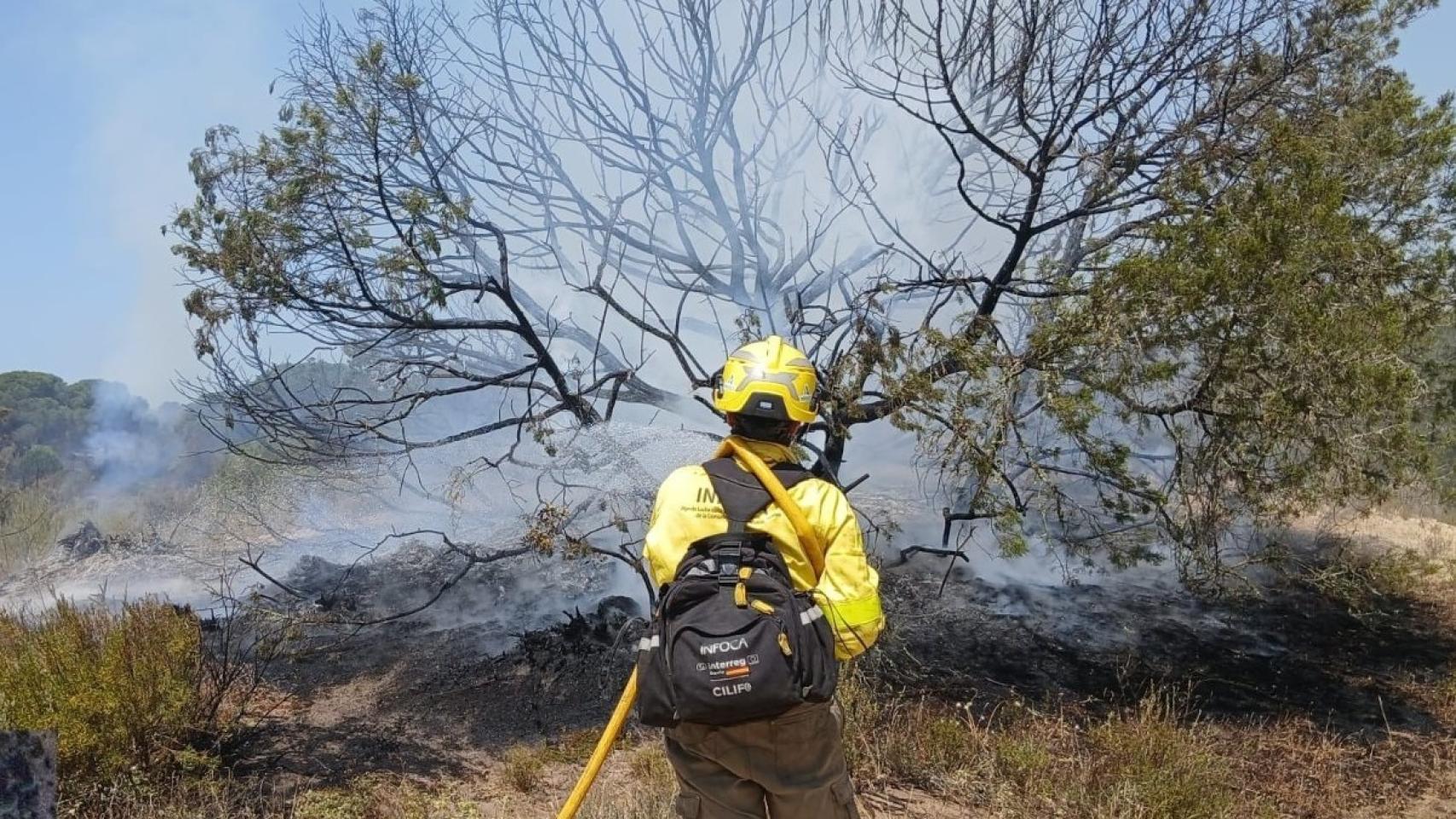 Bombero forestal trabajando para extinguir el incendio en Doñana.