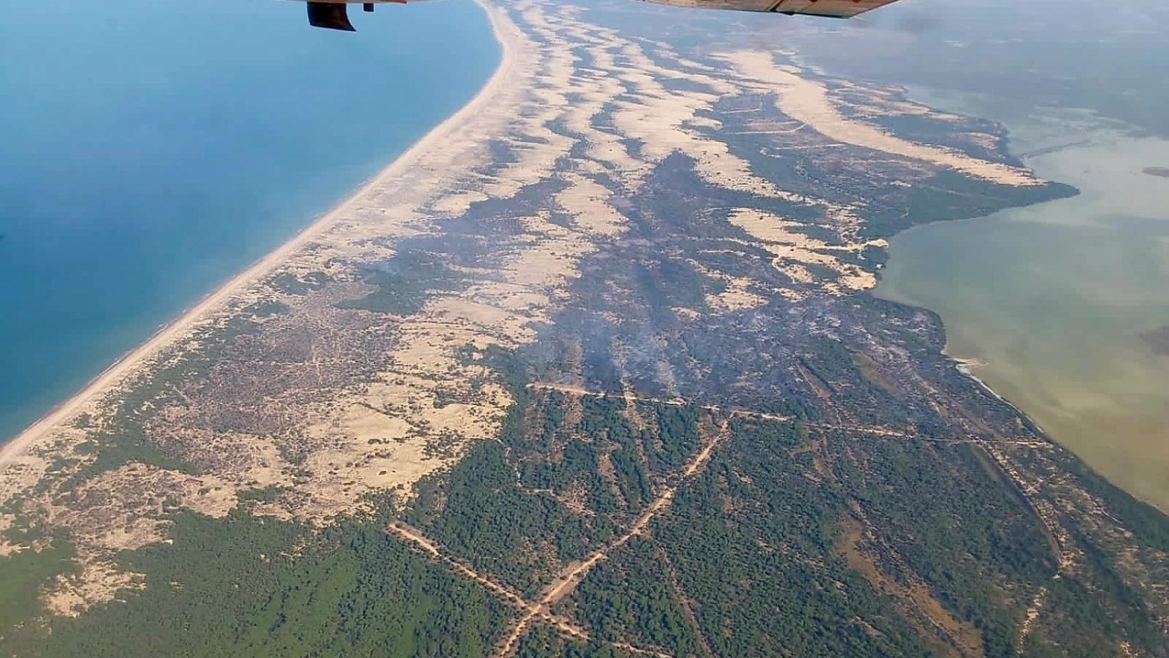 Incendio en el paraje del Rincón del Membrillo, en Almonte (Huelva).