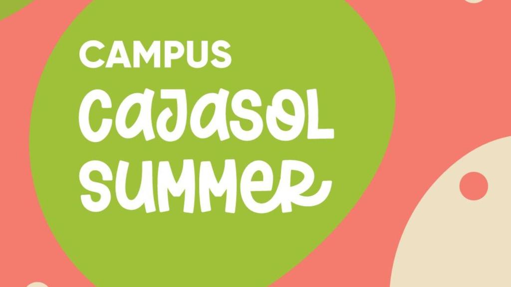 Imagen corporativa del Campus Cajasol. 