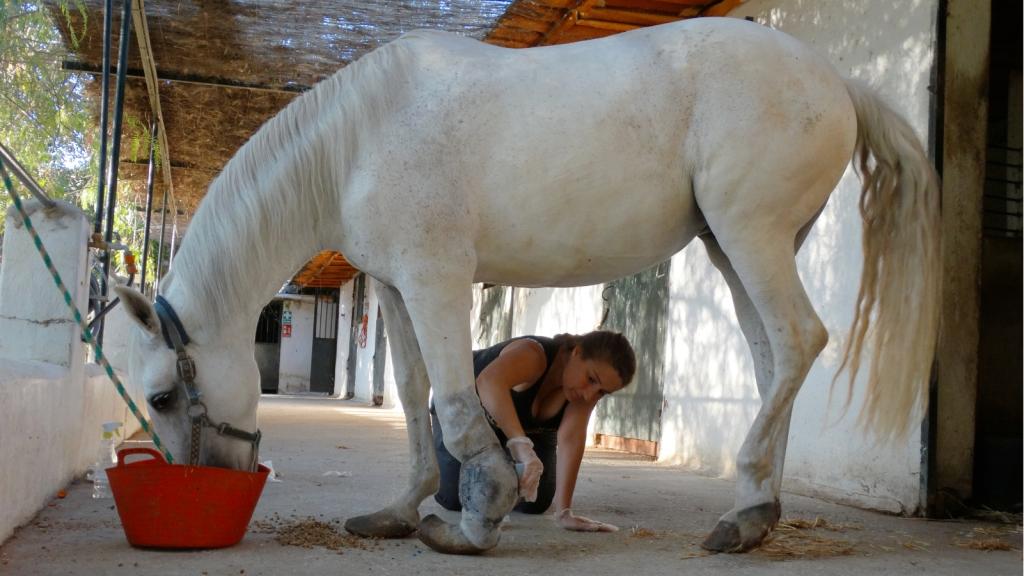 Trabajos en el santuario y protectora 'Todos los Caballos del Mundo'. destinataria de los fondos recaudados en la peregrinación de Iñigo Tina.