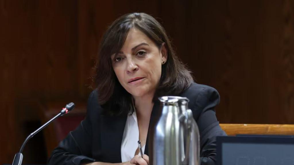 Ana Fuentes, declarando en la Comision de investigacion del Senado, en ocyubre de 2025
