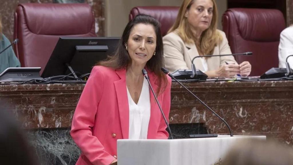 Virginia Martínez compareciendo en el pleno.