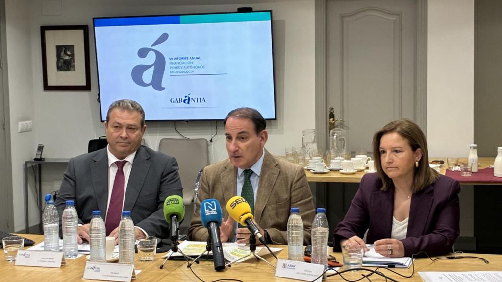 Presentación del informe de Garántia.