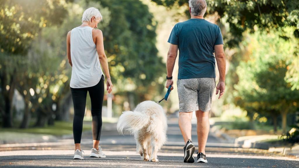 Una pareja paseando con su perro.