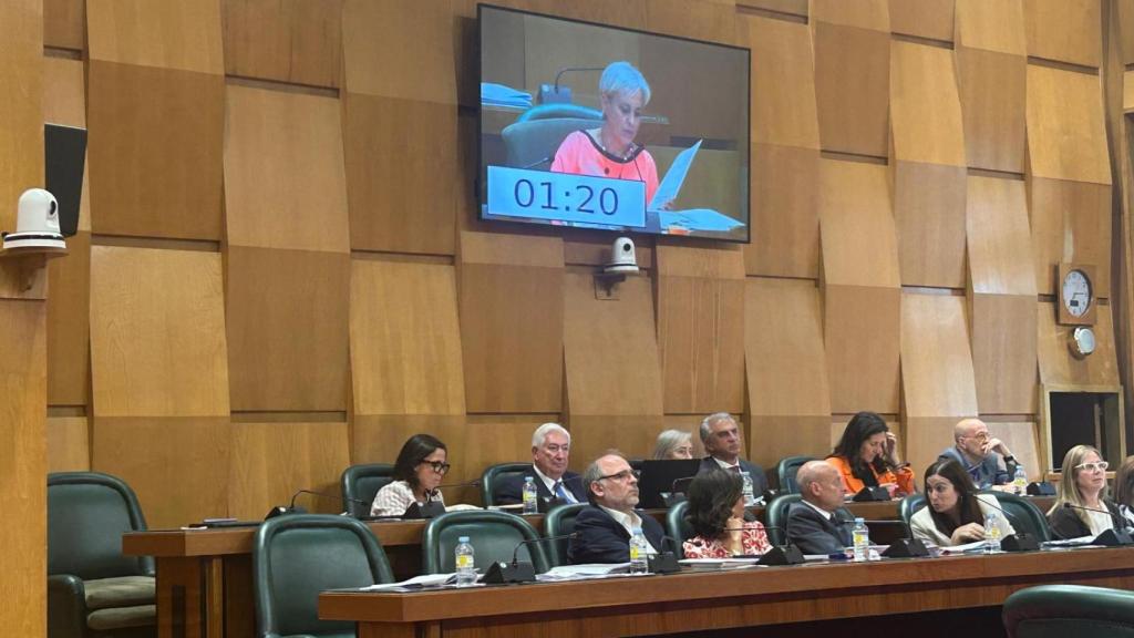 Los sillones de Vox vacíos durante la intervención de la concejal no adscrita.