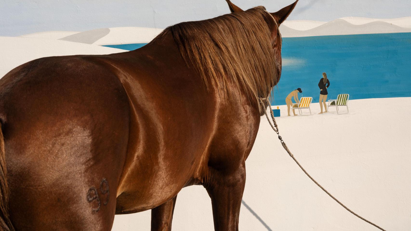 Cristina De Middel: 'BLANCO', de la serie Apoteosis Now, 2026. Foto: Cristina De Middel. Magnum Photos