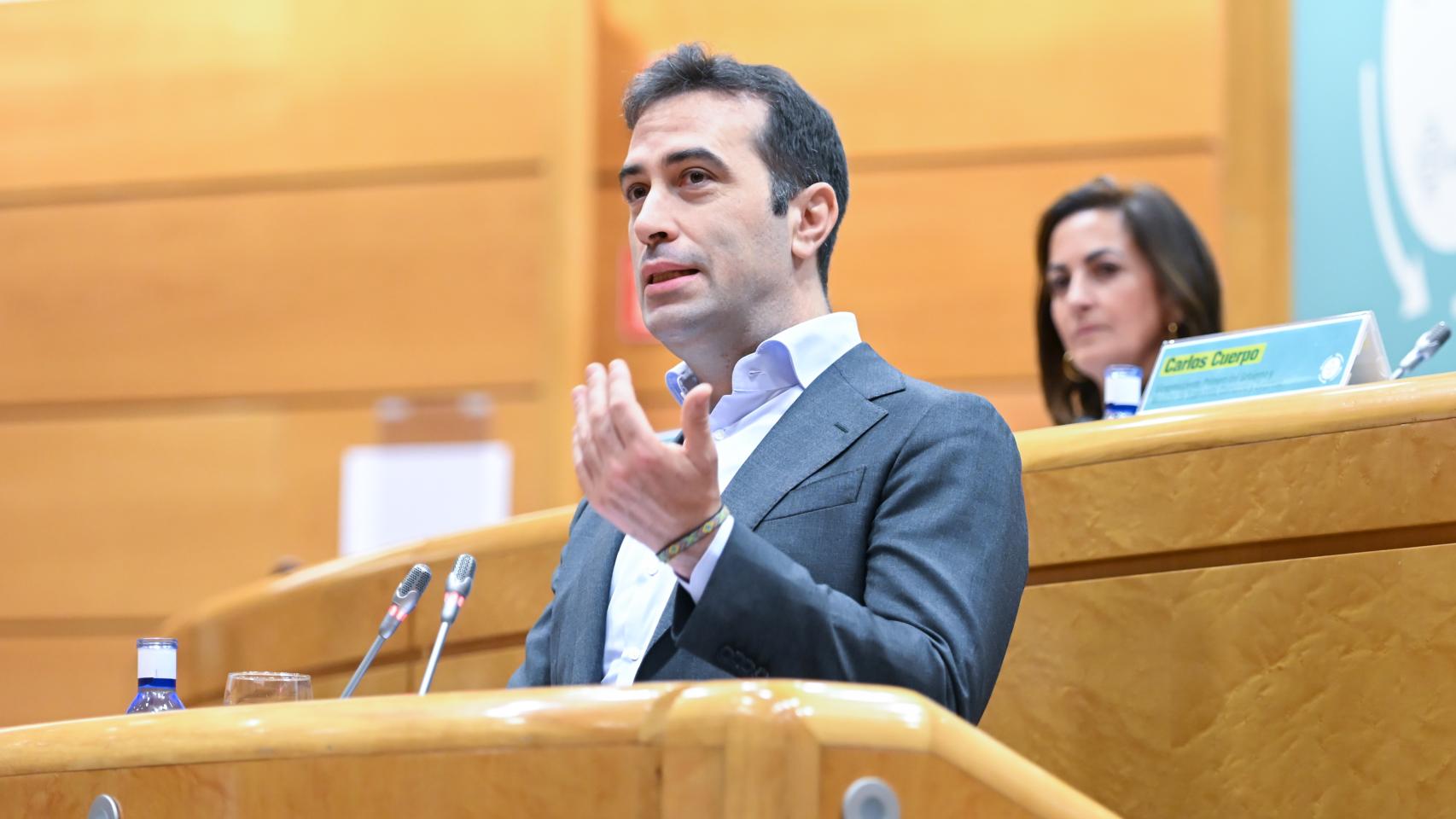 Carlos Cuerpo, en el Senado. 