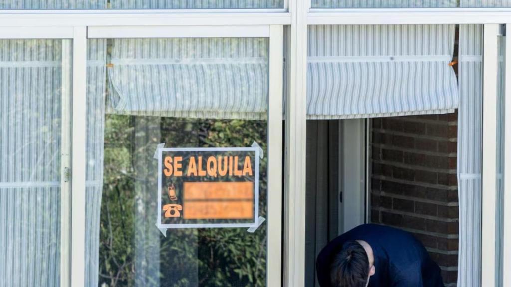 Un cartel que anuncia que se alquila una vivienda en Madrid. RICARDO RUBIO / EUROPA PRESS (RICARDO RUBIO / EUROPA PRESS)