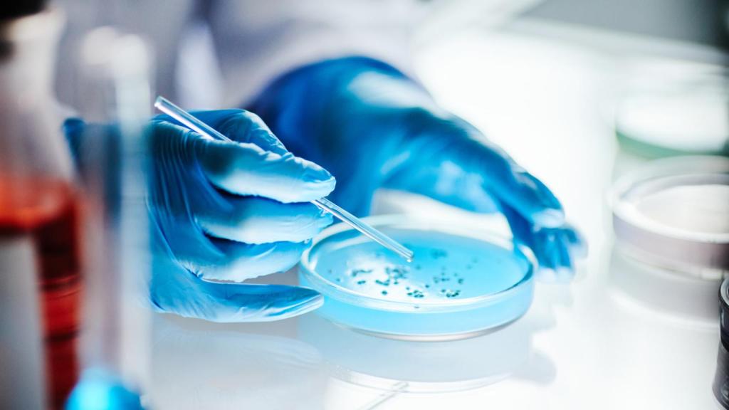 Un investigador examina bacterias en una placa de Petri.
